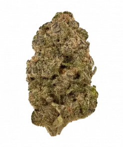 Gorilla Piña, ananas aroması ve yüksek THC içeriğiyle öne çıkan Sativa baskın bir türdür. Enerjik etkilerini ve genetik yapısını keşfedin.