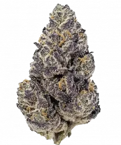 Gorilla Punch Auto, yakıtımsı ve kremsi aromasıyla öne çıkan Indica baskın bir türdür. Yüksek THC içeriğiyle dikkat çeker. Genetik yapısını keşfedin.