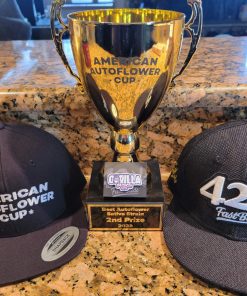 Gorilla Punch Auto Fem Esrar Tohumu (Fast Buds)