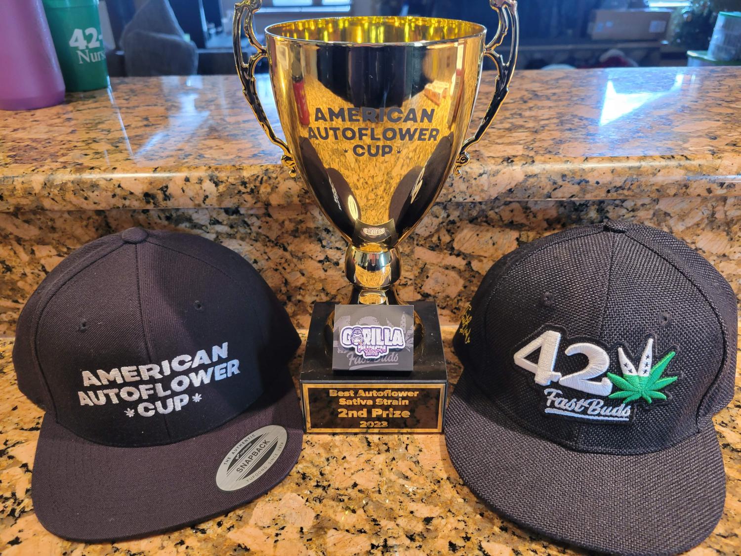 Gorilla Punch Auto Fem Esrar Tohumu (Fast Buds)