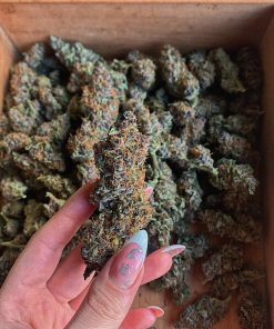 Gorilla Punch Auto Fem Esrar Tohumu (Fast Buds)