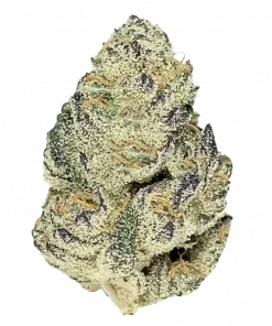 Gorilla Zkittlez, yakıtımsı ve tropikal aromalarıyla öne çıkan indica baskın bir türdür. Yüksek THC içeriğiyle dikkat çeken bu türün genetik yapısını keşfedin.