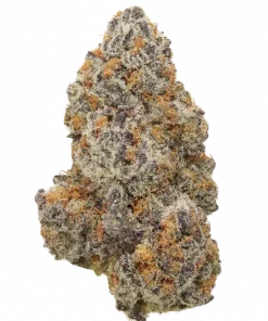 Gotti Blue Sapphire, tatlı orman meyveleri aroması ve rahatlatıcı etkileriyle bilinen Indica dominant bir türdür. Bu eşsiz türü keşfedin ve potansiyel faydalarını görüntüleyin.