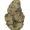 Grade 10, tatlı ve meyveli aromasıyla öne çıkan Indica dominant bir türdür. Yüksek THC içeriği ile yaratıcılığı artırır. Genetik yapısını keşfedin.