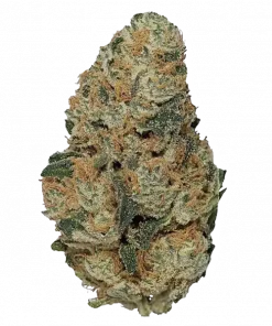 Grade 10, tatlı ve meyveli aromasıyla öne çıkan Indica dominant bir türdür. Yüksek THC içeriği ile yaratıcılığı artırır. Genetik yapısını keşfedin.