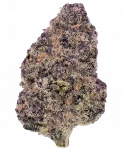 Granddaddy Purple, tatlı üzüm aroması ve güçlü Indica etkisiyle bilinen efsanevi bir türdür. Ağrı ve stres giderme potansiyelini keşfedin. Hemen inceleyin.