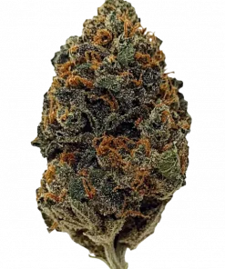 Grandi Guava, tropikal meyve aromaları ve yüksek enerjisiyle öne çıkan dengeli bir hibrit türdür. Motivasyon ve odaklanma için ideal. Özelliklerini keşfedin.