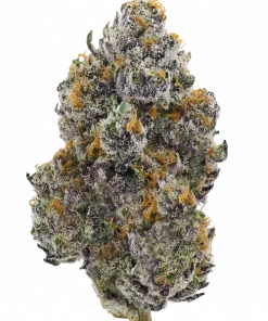 Grandpa's Cookies #6 S1, turunçgil aromaları ve rahatlatıcı etkisiyle bilinen Indica dominant bir türdür. Yüksek verimli bu türün genetik yapısını keşfedin.