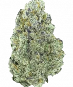 Grandpa’s Stash R2, tatlı ve yakıtımsı aromasıyla öne çıkan Indica dominant bir türdür. Stres ve uykusuzluğa karşı potansiyel faydalarını keşfedin ve hemen görüntüleyin.