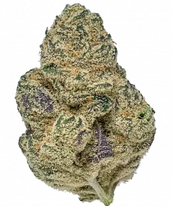 Grandpa’s Stash, yakıtımsı ve çam aromalı, yüksek THC'li dengeli bir hibrit türdür. Canlandırıcı Sativa etkileriyle bilinir. Genetik yapısını keşfedin.