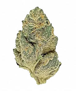 Granny MAC, turunçgil aromaları ve yüksek THC içeriğiyle öne çıkan Sativa baskın bir türdür. Enerji veren etkisini keşfedin ve genetik yapısını görüntüleyin.