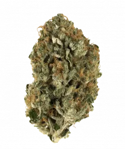 Granola Funk, vanilya aromaları ve yüksek THC içeriğiyle öne çıkan dengeli bir hibrit türdür. Etkilerini ve potansiyel faydalarını keşfedin.