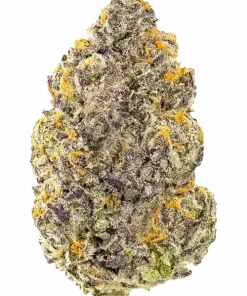 Grape Bombolla, yakıtımsı üzüm aroması ve dengeli etkisiyle öne çıkan bir hibrit türdür. Anksiyete ve stres için ideal, yüksek verimli bu türü keşfedin.