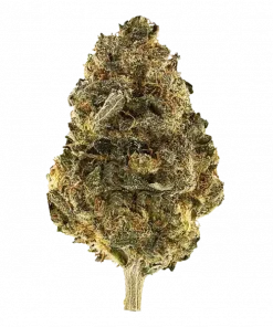 Grape Cobbler, tatlı meyve aromaları ve rahatlatıcı etkisiyle bilinen dengeli bir hibrit türdür. Yüksek THC içeriğiyle öne çıkar. Bu eşsiz türü keşfedin.