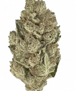 Grape Cream Cake, tatlı üzüm ve vanilya aromalı, yüksek THC'li Indica dominant bir türdür. Rahatlatıcı etkileriyle öne çıkar. Özelliklerini keşfedin.