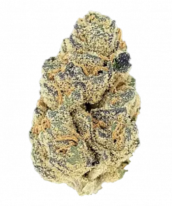 Grape Diamonds, greyfurt aromaları ve yüksek THC içeriğiyle öne çıkan dengeli bir hibrit türdür. Enerji verici etkilerini ve genetik yapısını keşfedin.