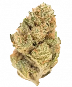 Grape Gasoline, sert yakıtımsı aroması ve dengeli etkisiyle öne çıkan 50/50 hibrit türdür. Enerji ve rahatlama sunan bu türü keşfedin.