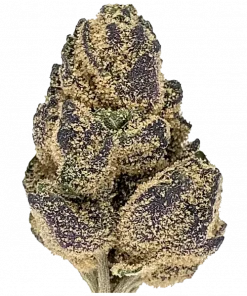 Grape God, tatlı üzüm aroması ve Sativa genetiğiyle öne çıkan bir türdür. Bipolar, uykusuzluk ve stres için ideal. Etkilerini keşfedin.