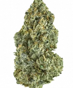 Grape Jam, böğürtlen aromaları ve rahatlatıcı etkisiyle bilinen indica baskın bir türdür. Ağrı ve stresi azaltmaya yardımcı olabilir. Özelliklerini keşfedin.