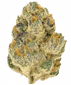 Grape Jelly, tatlı üzüm aroması ve rahatlatıcı etkileriyle bilinen indica baskın bir türdür. Dengeli yapısıyla öne çıkar. Özelliklerini keşfedin.