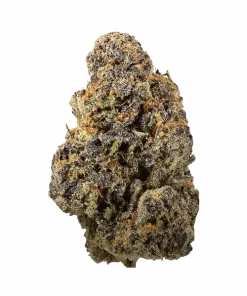 Grape Mint Gas, yakıtımsı ve nanemsi aromalarıyla öne çıkan Indica baskın bir türdür. Yüksek THC içeriğiyle rahatlatıcı etkilerini keşfedin ve deneyimleyin.