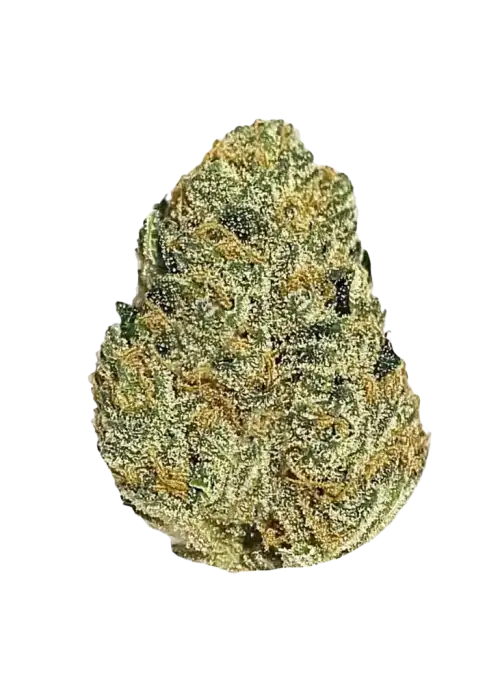 Grape OG, üzüm aromaları ve rahatlatıcı etkisiyle bilinen Indica baskın bir türdür. Orta seviyedeki THC içeriğiyle öne çıkar. Genetik yapısını keşfedin.