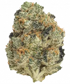 Grape Pie, belirgin üzüm aroması ve rahatlatıcı etkisiyle öne çıkan Indica baskın bir türdür. Grape Stomper genetiğini keşfedin ve eşsiz deneyimi görüntüleyin.