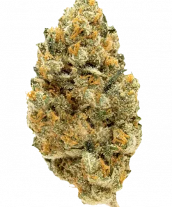 Grape Runtz, tatlı üzüm aroması ve yüksek THC içeriğiyle öne çıkan dengeli bir hibrit türdür. Zihinsel ve fiziksel etkilerini keşfedin.