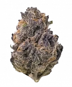 Grape Soda, üzüm aroması ve yüksek THC içeriğiyle öne çıkan Indica dominant bir türdür. Rahatlatıcı etkilerini keşfedin ve genetik yapısını görüntüleyin.