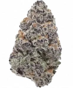 Grape Spodie, tatlı üzüm aroması ve rahatlatıcı etkisiyle öne çıkan Indica baskın bir türdür. Benzersiz lezzet profilini ve genetik yapısını keşfedin.