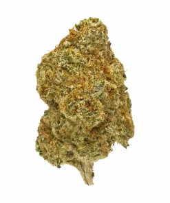 Grape Vapor, tatlı üzüm aroması ve rahatlatıcı etkisiyle öne çıkan Indica dominant bir türdür. Motorbreath genetiğiyle eşsiz deneyimi keşfedin.