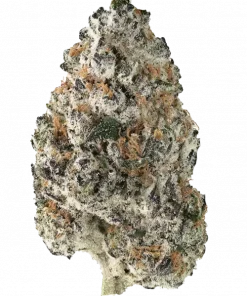 Grape-Z, üzüm şekeri aroması ve dengeli yapısıyla öne çıkan bir hibrit türdür. Sakinleştirici etkileri ve genetik yapısını keşfedin.