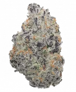 Grape Z × Hollywood, tatlı üzüm aromasıyla öne çıkan dengeli bir hibrit türdür. THC ile stresi azaltır, iştahı açar. Etkilerini keşfedin.