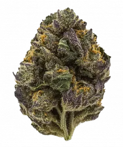 Grape Zoda, üzüm aromaları ve yüksek THC içeriğiyle bilinen Indica baskın bir türdür. Derin rahatlama ve mutluluk sunar. Genetik yapısını keşfedin.