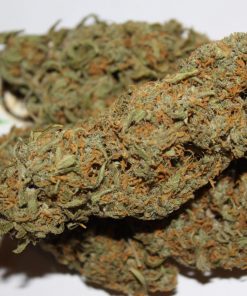 Grapefruit Auto Fem Esrar Tohumu (Fast Buds)