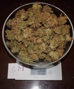 Grapefruit Auto Fem Esrar Tohumu (Fast Buds)