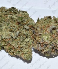 Grapefruit Auto Fem Esrar Tohumu (Fast Buds)