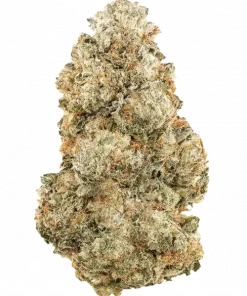 Grapefruit Zruntz, greyfurt aromaları ve dengeli etkisiyle öne çıkan indica dominant bir türdür. Yüksek verim potansiyelini keşfedin ve özelliklerini görüntüleyin.
