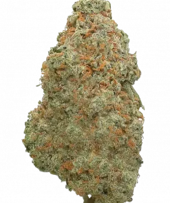 Grapefruitz, keskin greyfurt aroması ve yüksek verimiyle bilinen sativa baskın bir türdür. Yaratıcılığı artıran genetik yapısını keşfedin ve hemen görüntüleyin.