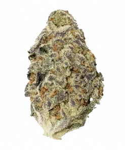 Grapes and Cream, tatlı üzüm aroması ve 'e varan THC içeriğiyle bilinen dengeli bir hibrit türdür. Yüksek verimli bu türün genetik yapısını keşfedin.