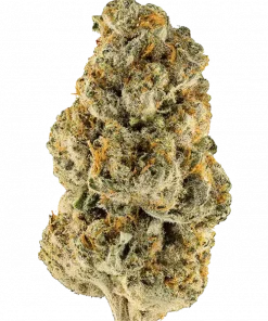 Grapevine Candy, mango ve sakız aromalarıyla öne çıkan güçlü bir indica türüdür. Depresyon ve yorgunluğa iyi gelir. Genetik yapısını keşfedin.