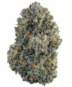 Grasa De Mono, vanilya aroması ve yüksek rahatlama etkisiyle bilinen Indica baskın bir türdür. Derin gevşeme ve potansiyel faydalarını keşfedin.