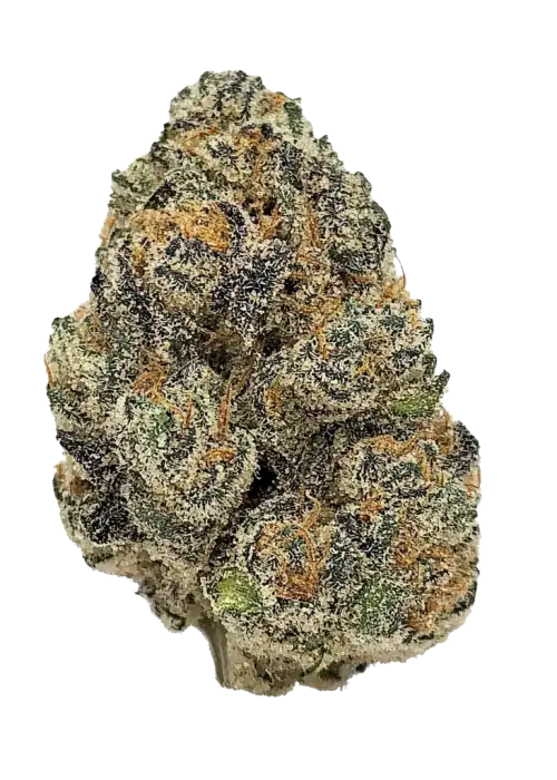 Grateful Breath, tatlı meyve aroması ve yüksek THC içeriğiyle öne çıkan indica dominant bir türdür. Rahatlatıcı etkilerini keşfedin ve hemen görüntüleyin.