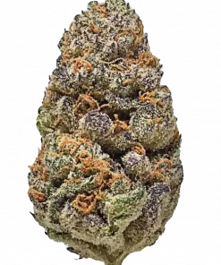 Greasy Runtz, şekerli kiraz aroması ve THC ile öne çıkan İndika baskın bir türdür. Yüksek verimli bu türün genetik yapısını keşfedin ve hemen görüntüleyin.