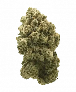 Green Apple Tangie, tatlı elma aroması ve yüksek THC içeriğiyle bilinen Sativa baskın bir türdür. Enerji verici etkilerini keşfedin ve genetik yapısını görüntüleyin.