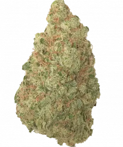 Green Crack, mango ve narenciye aromalarıyla öne çıkan Sativa baskın bir türdür. Enerji verici etkisiyle bilinir. Genetik yapısını keşfedin ve detayları görüntüleyin.