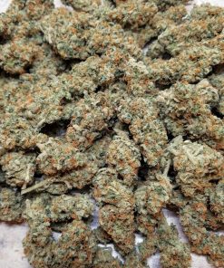 Green Crack Auto Fem Esrar Tohumu (Fast Buds)