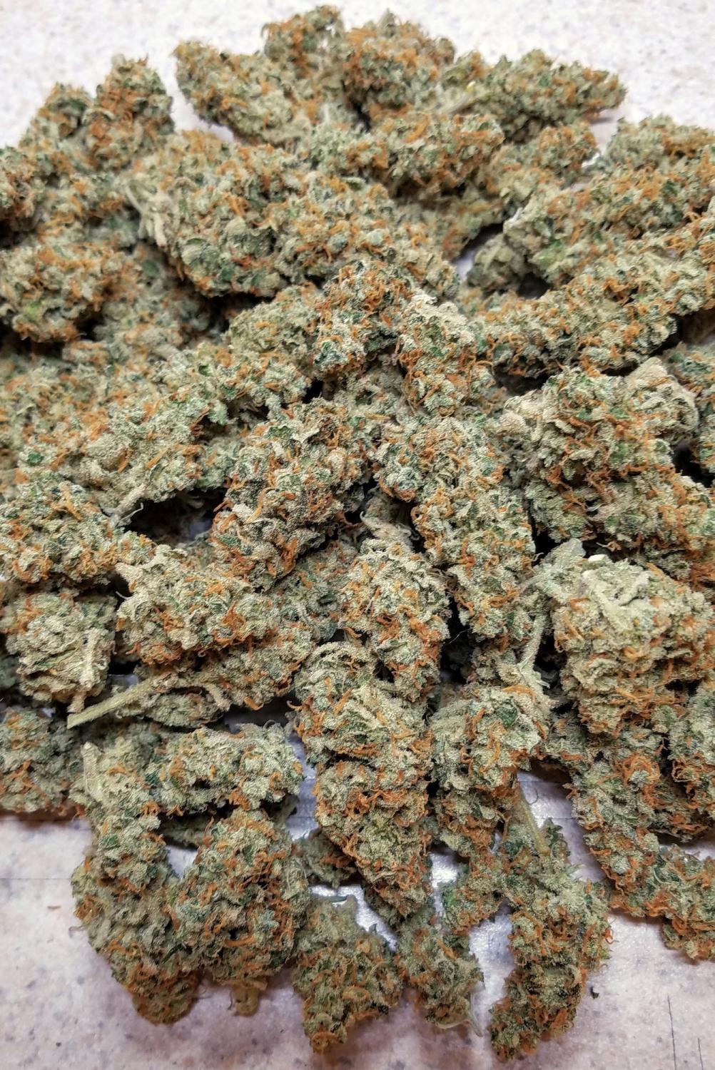 Green Crack Auto Fem Esrar Tohumu (Fast Buds)