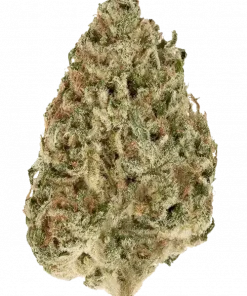 Green Gummy, tatlı şekerleme aroması ve mutlu edici etkileriyle bilinen indica baskın bir türdür. Yüksek reçine içeriğiyle dikkat çeker. Özelliklerini keşfedin.