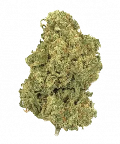 Green Highlighter, tatlı narenciye aroması ve dengeli genetiğiyle öne çıkan bir hibrit türdür. Öforik etkilerini ve rahatlatıcı yapısını keşfedin.